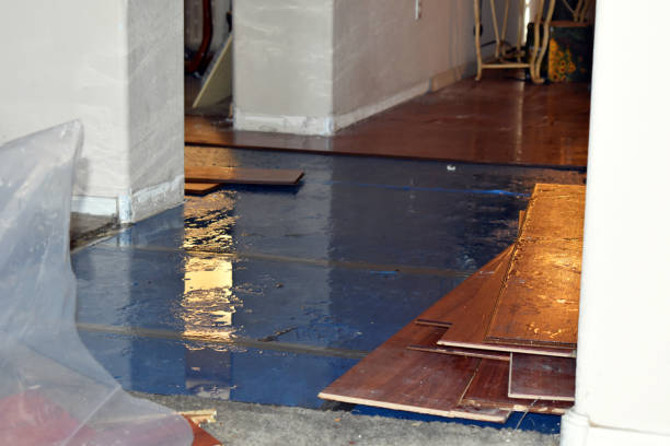 Professional Flood Cleanup technician working in Carson City, MI